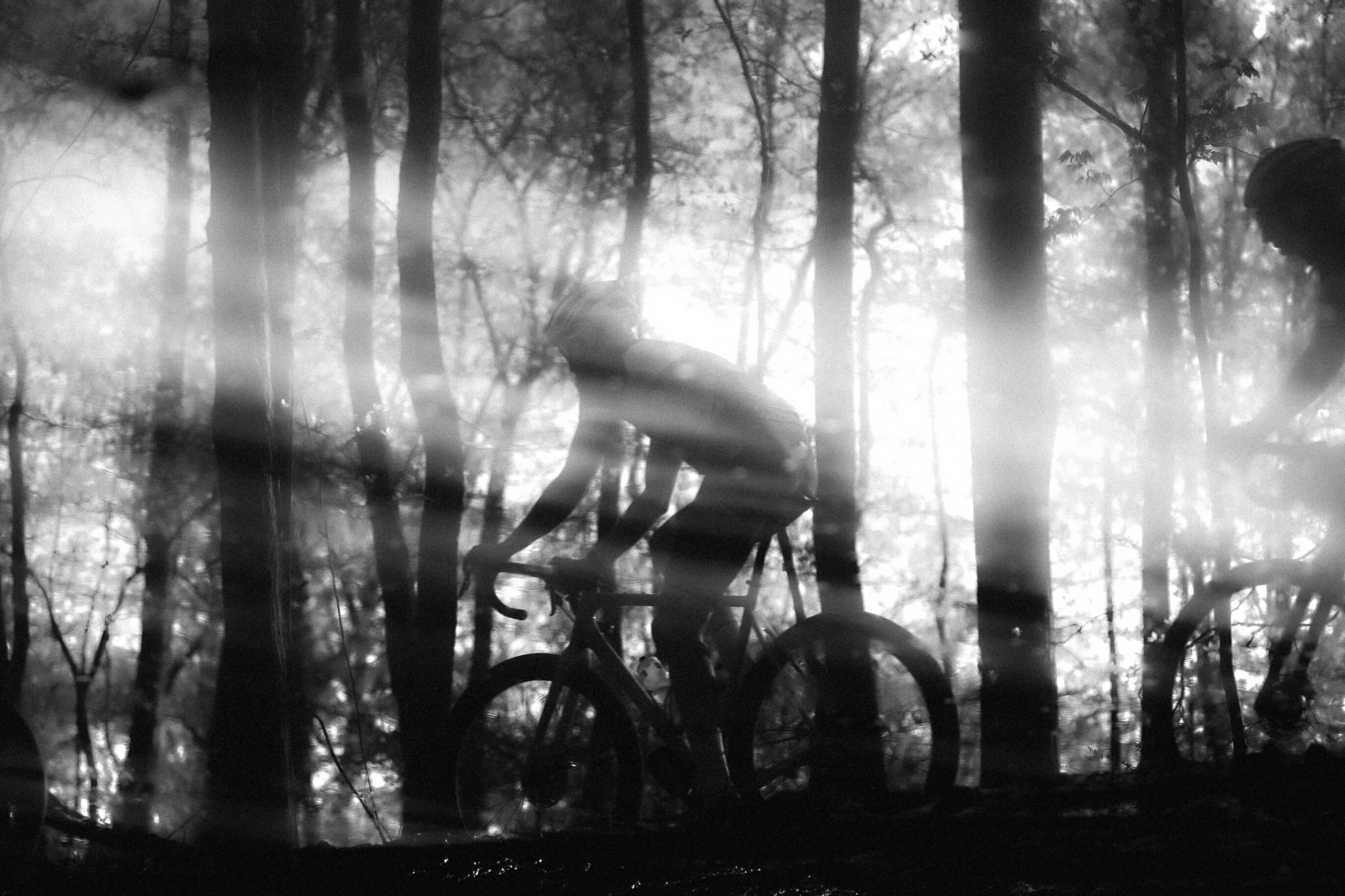 Elliot_Whitehead-THIC-1 Elliot_Whitehead-THIC-1